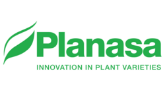 Poza pentru categoria Planasa
