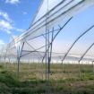Poza cu Folie solar 180 microni Plastika Kritis 3809 UV difuză Premium EVA 16 m