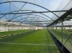 Poza cu Folie solar 200 microni profesională Pati Italia