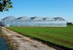 Poza cu Folie solar 200 microni profesională Pati Italia