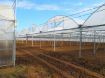 Poza cu Folie solar Pati Italia 180 microni pentru sere și solarii