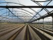 Poza cu Folie solar Pati Italia 180 microni pentru sere și solarii