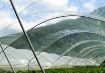 Poza cu Folie solar profesională Pati Italia 160 microni