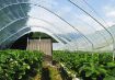 Poza cu Folie solar profesională Pati Italia 160 microni