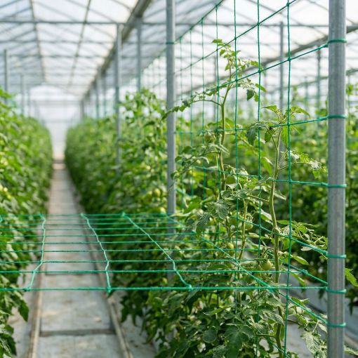 Poza cu Plasă susținere plante pentru sere și solarii – suport creștere, rezistentă UV
