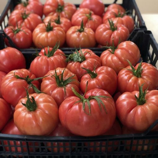 Poza cu Leroxy F1 – 500 semințe profesionale de tomate roz pentru solar și seră