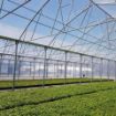 Poza cu Folie solar 180 microni Plastika Kritis KRITIFIL 2996 Crystal Clear