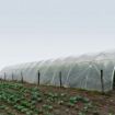 Poza cu Folie solar 200 microni profesională Pati Italia