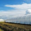 Poza cu Folie solar profesională Pati Italia 160 microni