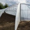 Poza cu Folie pentru solarii Sotrafa Spania 180 microni
