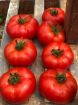 Poza cu Ozkan F1 – semințe profesionale de tomate pentru producție ridicată
