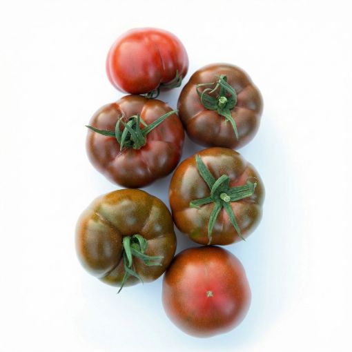 Poza cu Big Sacher (132-283) F1 – 250 semințe premium de tomate speciale pentru culturi profesionale